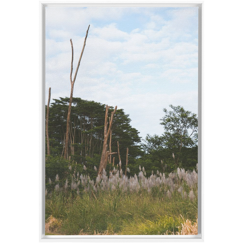 media image for Meadow Framed Canvas 250