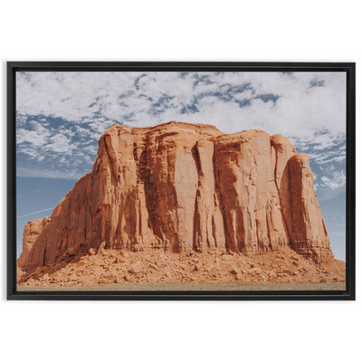 product image for Monument Framed Canvas 85