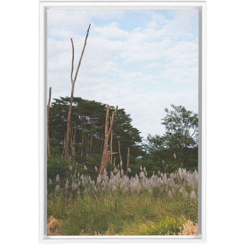media image for Meadow Framed Canvas 292