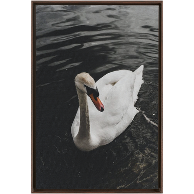 product image for Swan Framed Canvas 57