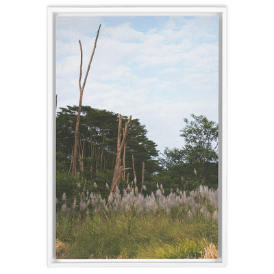 product image for Meadow Framed Canvas 66