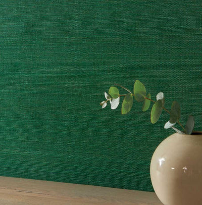 product image for Kanoko Grasscloth Wallpaper in Emerald 74