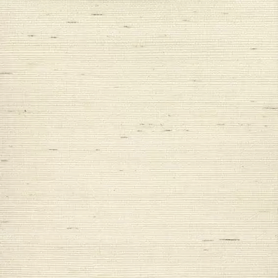 product image for Kanoko Grasscloth Wallpaper in Ecru 57