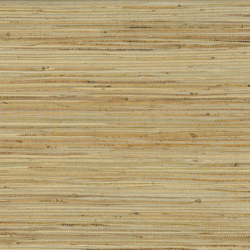 media image for Kanoko Grasscloth II Wallpaper in Nude 238