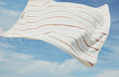 product image for raita towel medium caramel ice blue 2 12