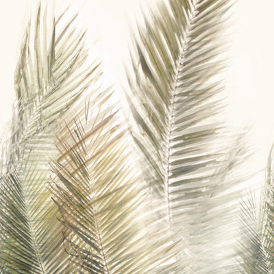 product image of Palm Leaves Whimsical Wall Mural in Olive Green/Cream 550