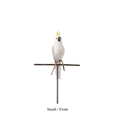 product image for parrot small side design by puebco 2 18