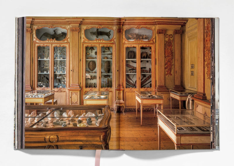 media image for massimo listri cabinet of curiosities 10 258