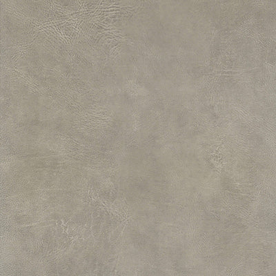 product image of Elephant Skin Textured Faux Wallpaper in Light Mocha 584