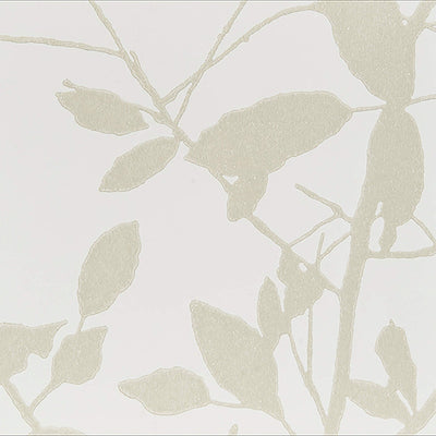 product image of Opulent Tranquility Wallpaper in Grey/Cream 522