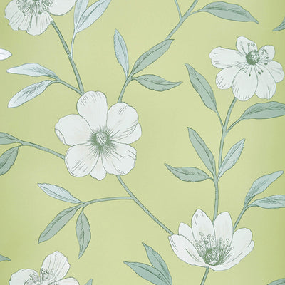 product image of Floral Large Scale Wallpaper in Citrus Green/Grey 558