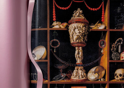 product image for massimo listri cabinet of curiosities 12 35