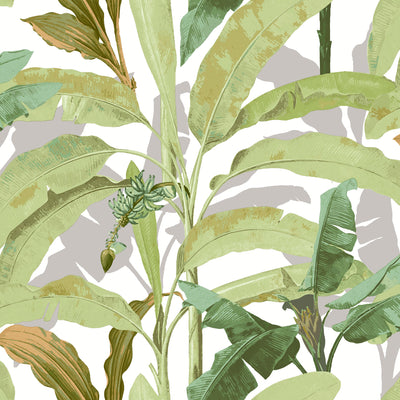 product image of sample banana tree green wallpaper from the into the wild collection by galerie wallcoverings 1 531