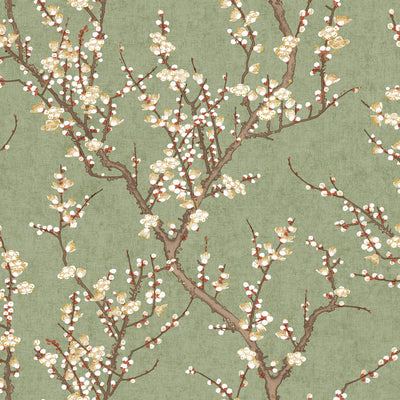 product image for Spring Blossom Sakura Tree Wallpaper in Green 18