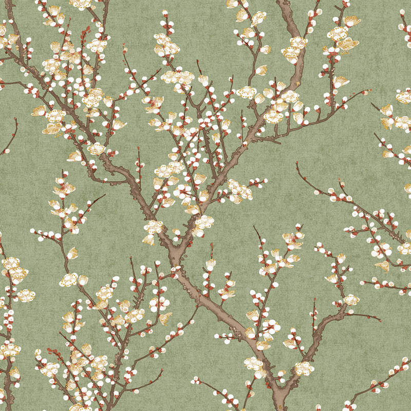 media image for Spring Blossom Sakura Tree Wallpaper in Green 292