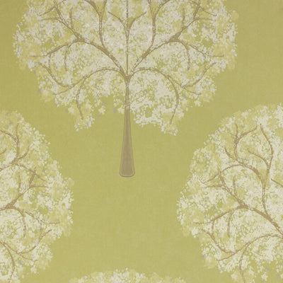 product image of Trees Wallpaper 537