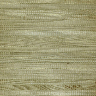 product image of Grasscloth Natural Wide Bamboo Texture Wallpaper in Green 53