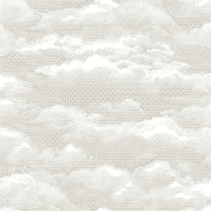 media image for Trellis Style Wallpaper in Grey/Taupe 248