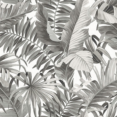 product image of Tropical Leaf Exotic Wallpaper in Black/Grey 580