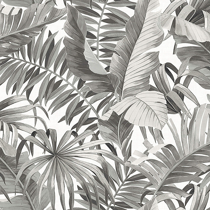 media image for Tropical Leaf Exotic Wallpaper in Black/Grey 290