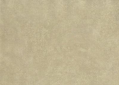 product image of Unito Airone Wallpaper in Beige 514