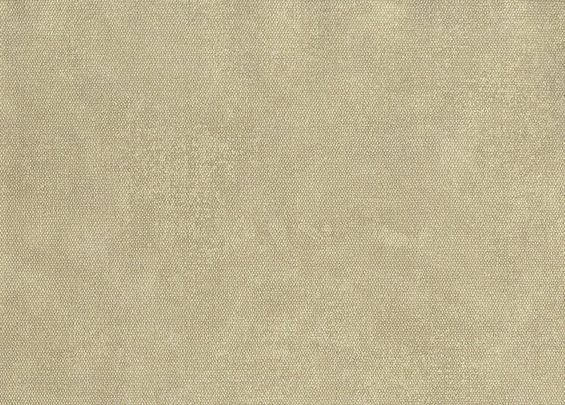 media image for Unito Airone Wallpaper in Beige 236