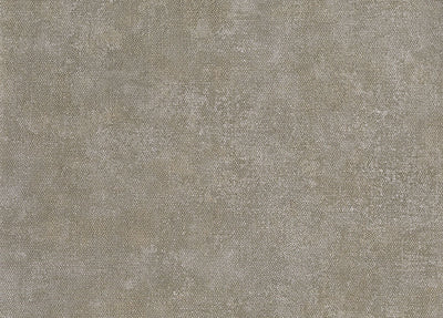 product image of Unito Airone Wallpaper in Taupe 537
