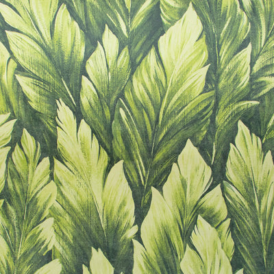 product image of Samoa Avocado Wallpaper from the Tropical Collection by Galerie Wallcoverings 519