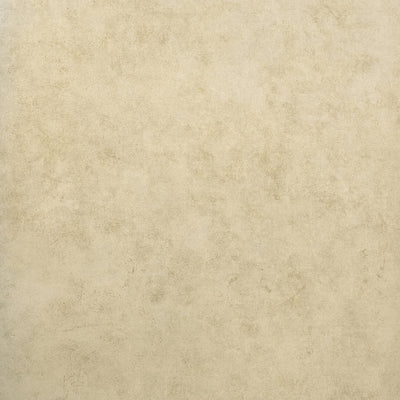 product image for Tilia Plain Wallpaper in Clay  74