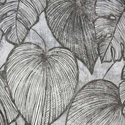 product image of Monstera Wallpaper in Black Mid Lead  50