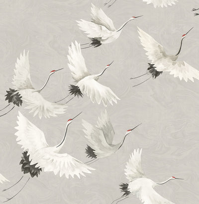 product image of Windsong Grey Bird Wallpaper 583