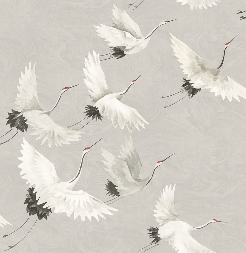 media image for Windsong Grey Bird Wallpaper 270