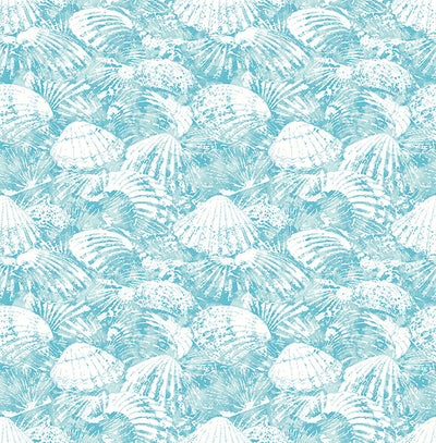 product image for Surfside Aqua Shells Wallpaper 85