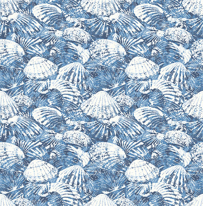 product image for Surfside Blue Shells Wallpaper 37