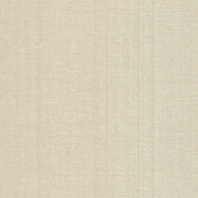 product image of Aspero Champagne Faux Grasscloth Wallpaper from the Warner XI Collection by Brewster Home Fashions 518