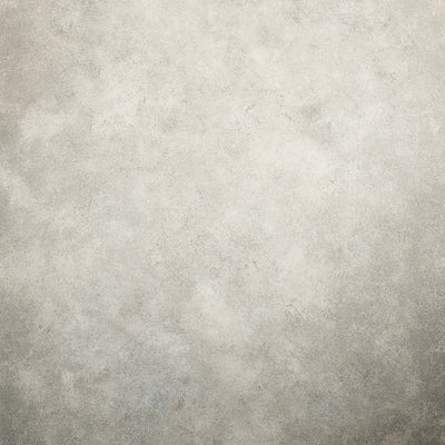 product image of Portobello Wallpaper in Taupe Grey 595