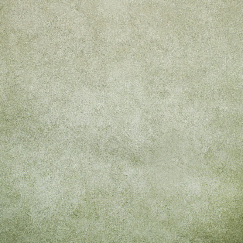 media image for Portobello Wallpaper in Sage Green 22