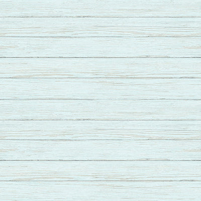 product image for Ozma Aqua Wood Plank Wallpaper from the Flora & Fauna Collection by Brewster Home Fashions 24