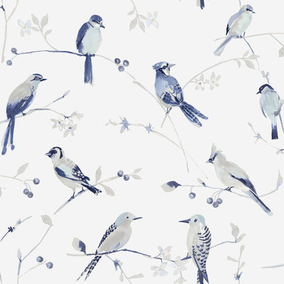 product image for Birdsong Blue Trail Wallpaper from the Thoreau Collection by Brewster 76