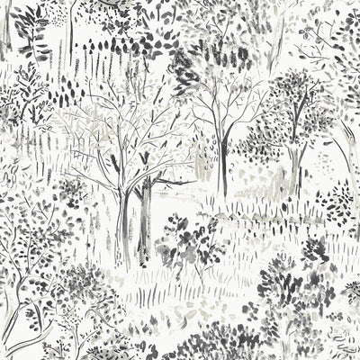 product image for Walden Black Forest Wallpaper from the Thoreau Collection by Brewster 16