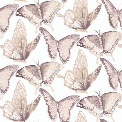 product image for Janetta Blush Butterfly Wallpaper from the Thoreau Collection by Brewster 30