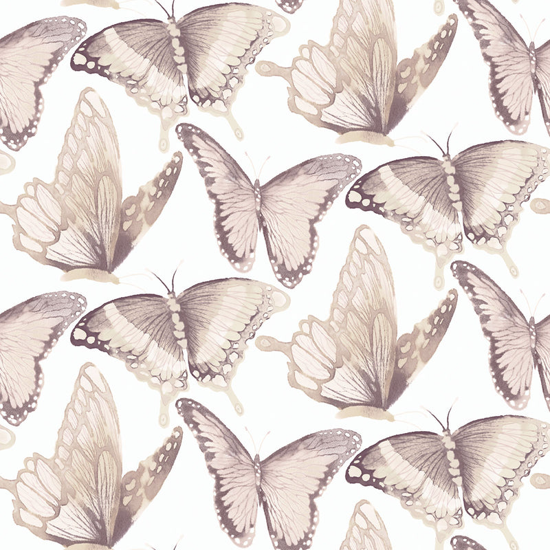 media image for Janetta Blush Butterfly Wallpaper from the Thoreau Collection by Brewster 290