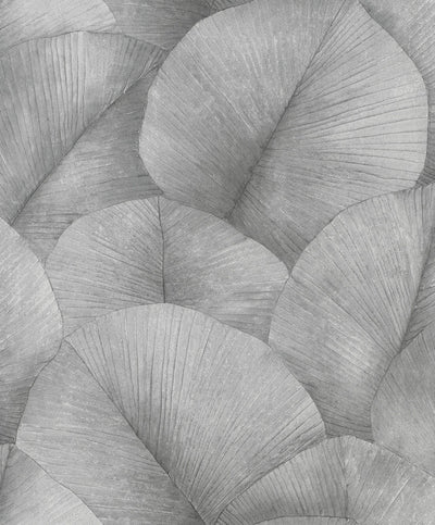 product image for Palm Leaf Wallpaper in Grey 58