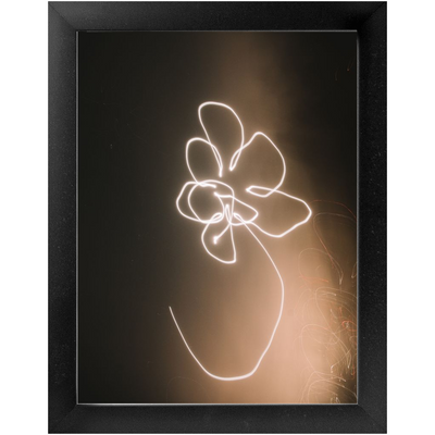 product image for moon flower framed photo 2 74