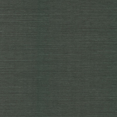 product image of Colcord Dark Green Sisal Grasscloth Wallpaper by Scott Living 588