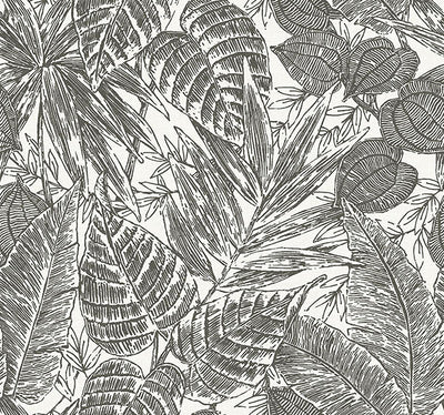 product image of Sample Brentwood Black Palm Leaves Wallpaper by Scott Living 50