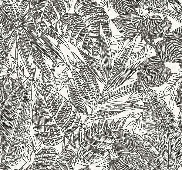 media image for Sample Brentwood Black Palm Leaves Wallpaper by Scott Living 260