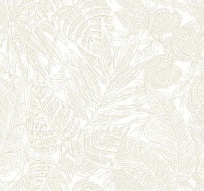 product image of Brentwood Bone Palm Leaves Wallpaper by Scott Living 50