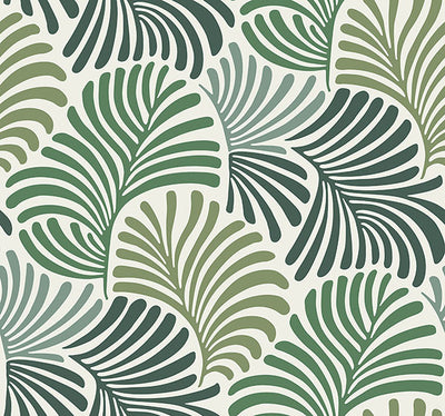 product image of Trousdale Green Fanning Flora Wallpaper by Scott Living 584