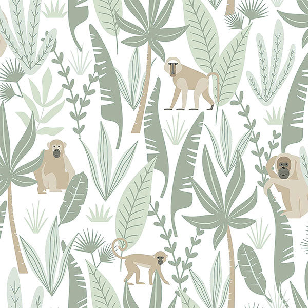 media image for Kiki Light Green Monkeys Wallpaper from the Fable Collection by Brewster 256